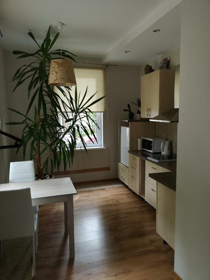 Apartamento Jaukus Butas Siauliu Miesto Centre Šiauliai Exterior foto